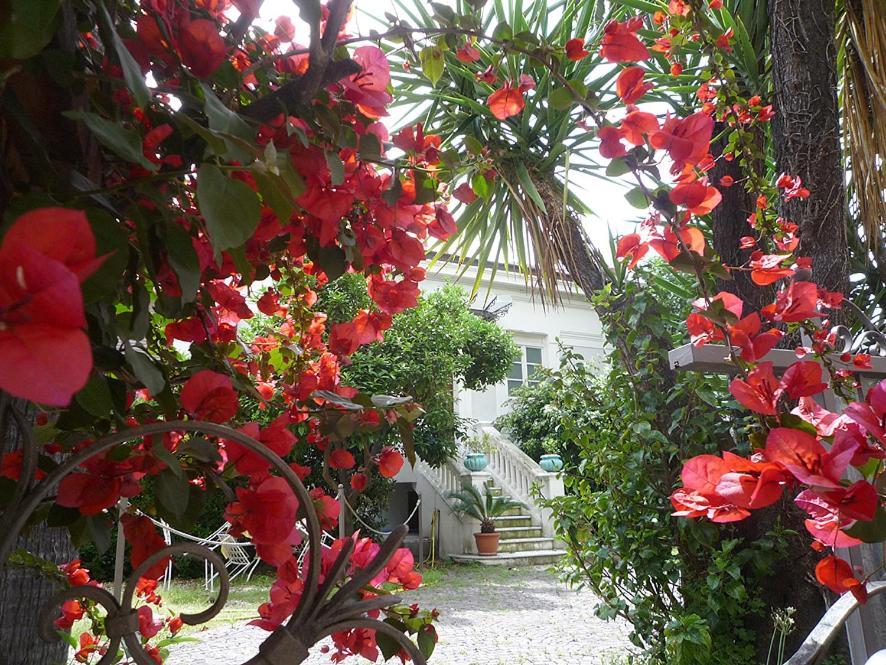 Hotel Palais La Nasse à San Remo Extérieur photo